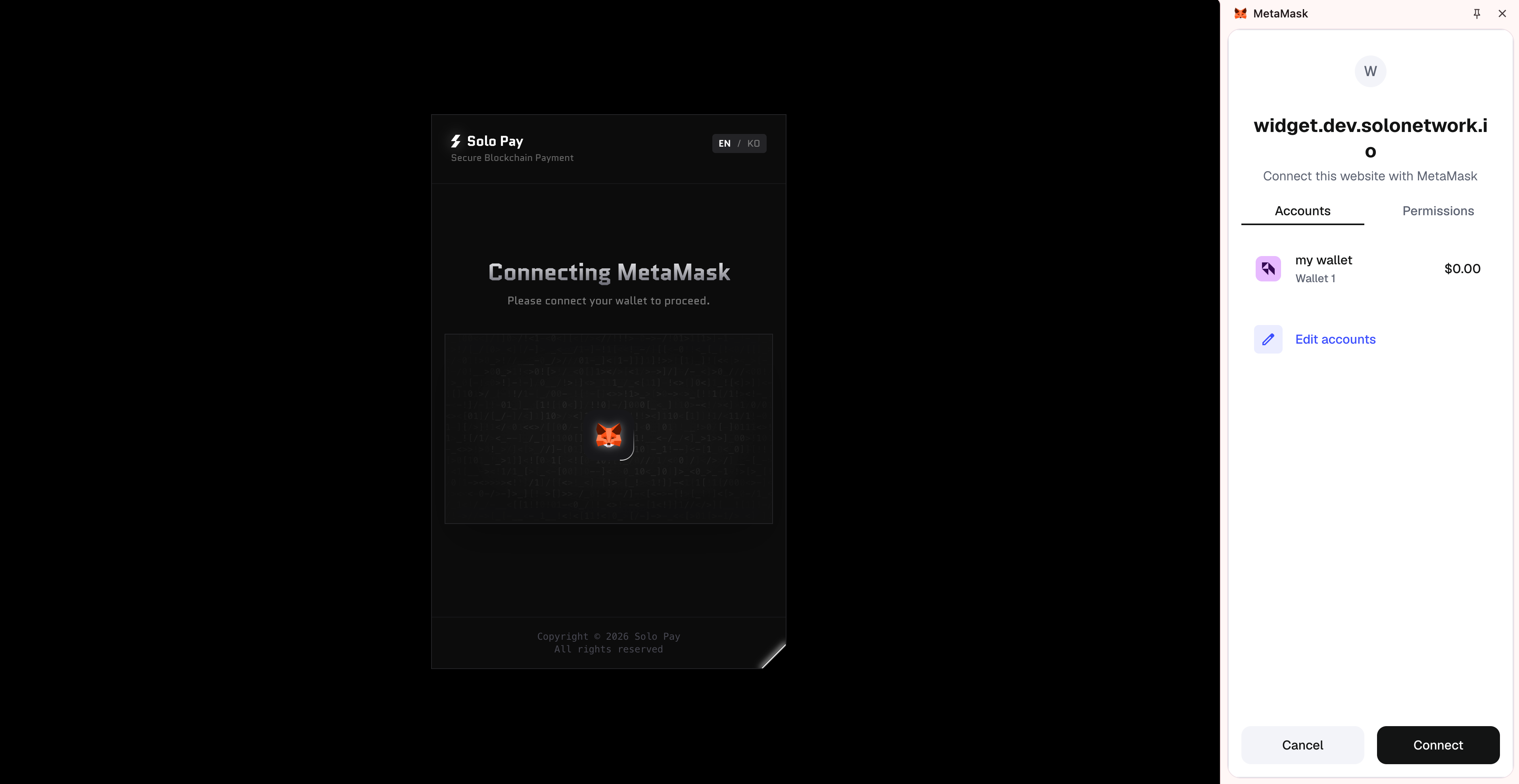 Approve MetaMask connection