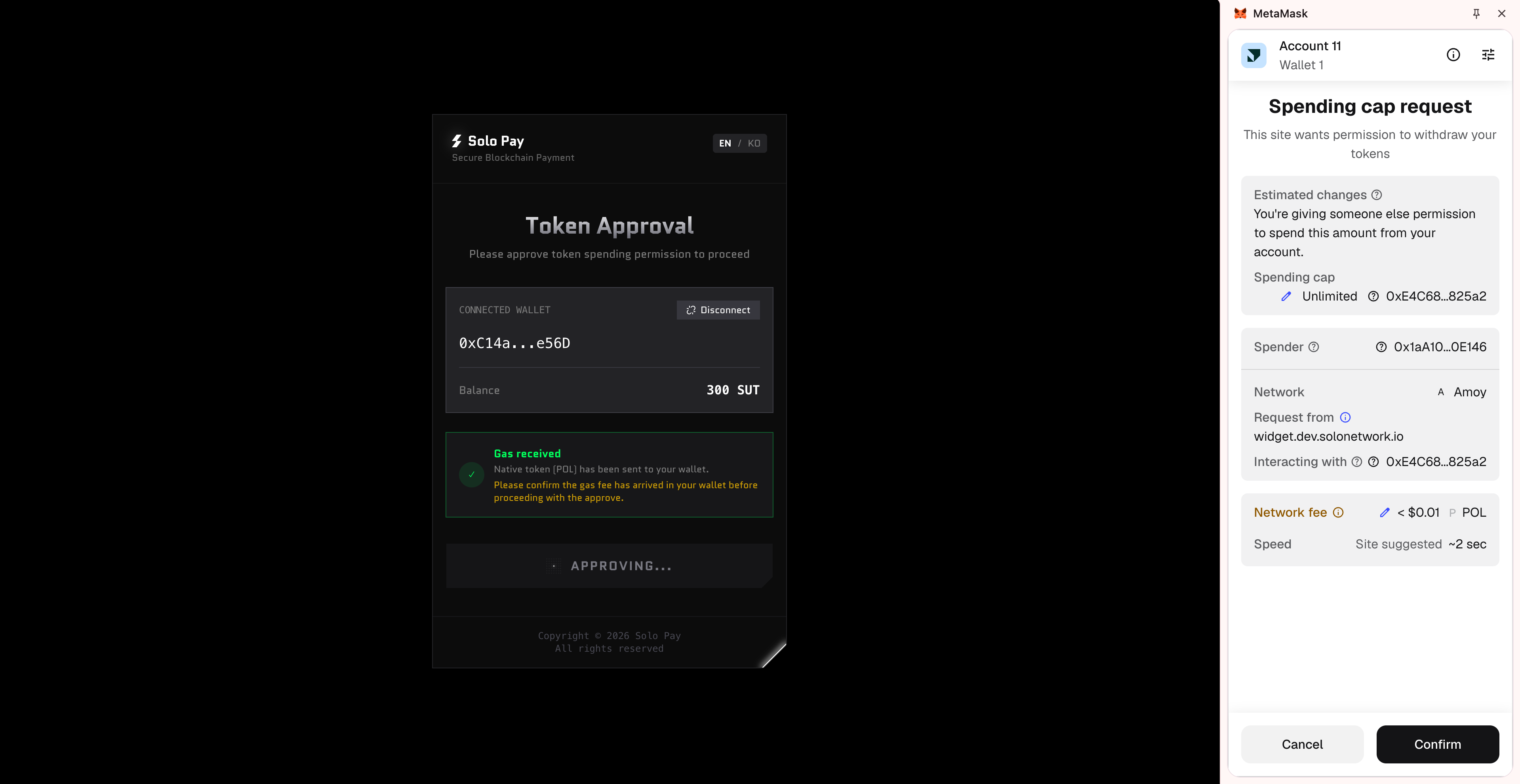 Approve MetaMask token usage