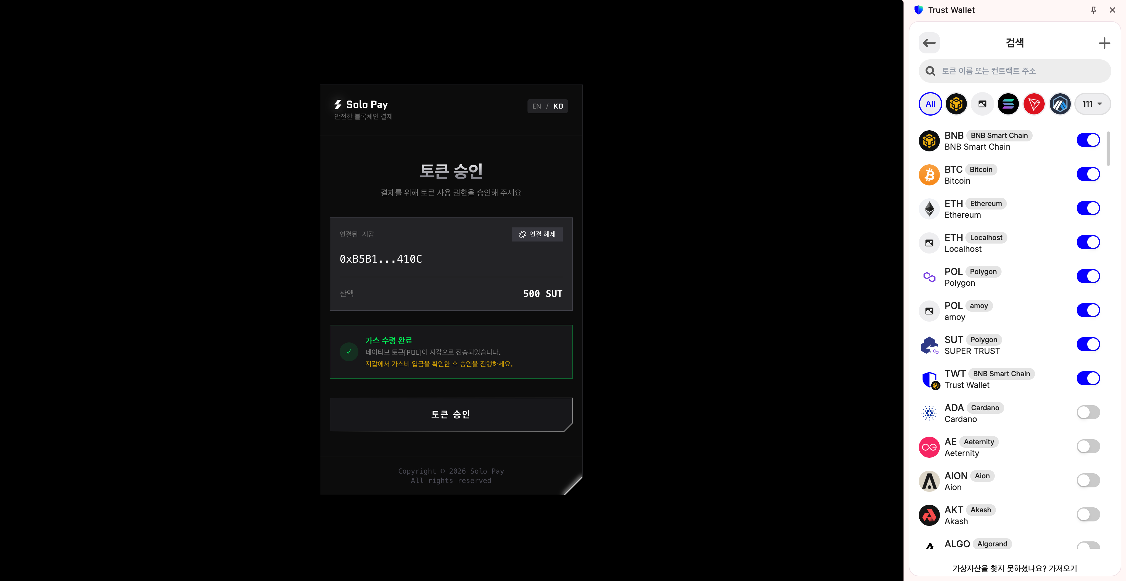 POL 토큰 선택